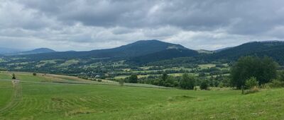 Ścieżka historyczna, łącznik ↔ Wyrębiska [Widok na Cichoń i przełęcz Słopnicką]