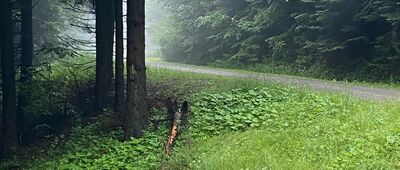 Krzyż partyzantów ↔ Polana Stumorgowa