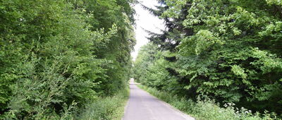 Pod Helichą ↔ Brylińce