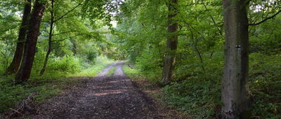 Iwanowa ↔ Fort Helicha