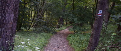 Rozejście szlaków ↔ Przemyśl, ul. Królowej Jadwigi