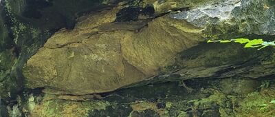 Rozejście szlaków ↔ Diabla Dziura