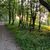 Beskid Mały -na szlaku z Kiczery do Porąbki
