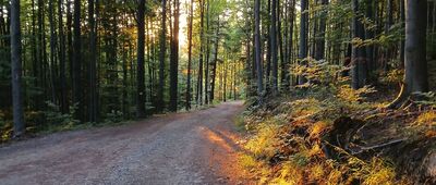 Porąbka, ul. Smrekowa ↔ Kiczera [Beskid Mały -na szlaku z Kiczery do Porąbki]