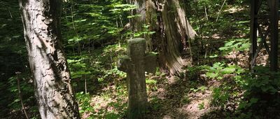 Wleń, wiadukt ↔ Zamek Wleń, rozejście szlaków