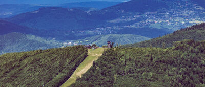 Sokolica