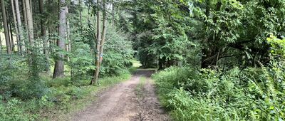 Osada Skály ↔ Nad Kamencem