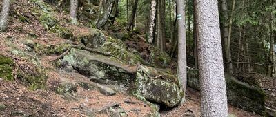 Lokomotiva, vyhl., odb. ↔ Nad Kamencem