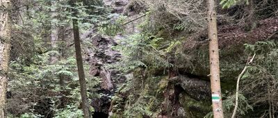 Lokomotiva, vyhl., odb.