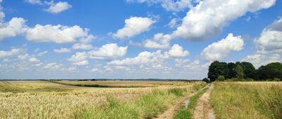 Kornelówka ↔ Łaziska [prawie jak Toskania]