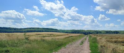 Kornelówka ↔ Łaziska