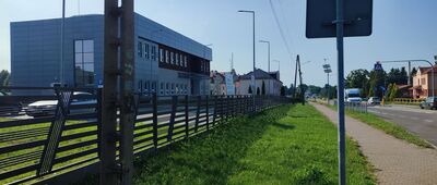 Wierzba [Kropka przy przystanku w Starym Zamościu]