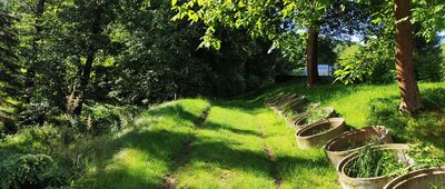 Panieńska Góra ↔ Wielka Wieś [Zielono]