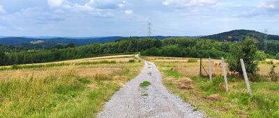 Łysa Góra ↔ Jaworsko