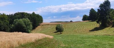 Granice Dębińskie ↔ Łysa Góra