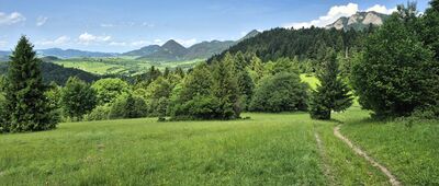 Przełęcz pod Klasztorną Górą ↔ Vápenník, rázc. [Widok na Pieniny znad Przełęczy pod Klasztorną Górą]