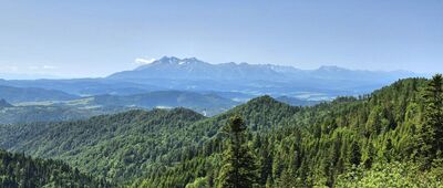 Schronisko PTTK Przehyba [Tatry z tarasu widokowego Schroniska PTTK Przehyba]