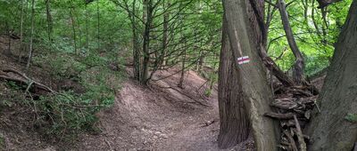 Kraków, Chełm ↔ Las Wolski, Zielony Dół [Kraków-Zwierzyniec: początek szlaku do Kopca Piłsudskiego]