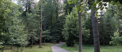 Żywiec, Park Zamkowy ↔ Żywiec, os. Parkowe