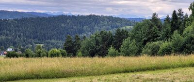 Pod Luboniem ↔ Rabka-Zdrój, Śmietanowa [Tatry ponad pasmem Królewskiej Góry, na zielonym szlaku z Lubonia Wielkiego]