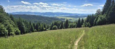 Eliaszówka ↔ Rozejście szlaków [Panorama ze zboczy Eliaszówki]
