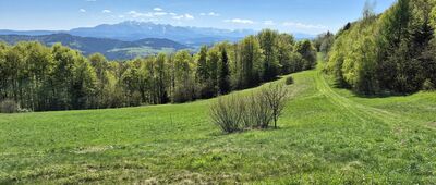 Średni Groń ↔ Krościenko, rondo [Tatry z punktu widokowego pod Kotelnicą]