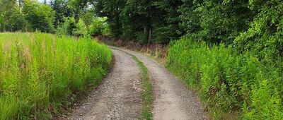 Nosalowa ↔ Gromnik, rozejście szlaków