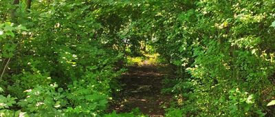 Burzyn ↔ Rozejście szlaków