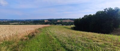 Burzyn, kościół ↔ Kielanowice, ul. Rzeczna