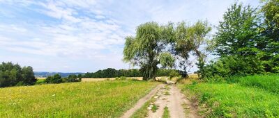 Droga do cmentarza wojennego w Tuchowie ↔ Furmaniec