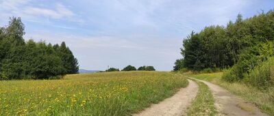 Furmaniec ↔ Tuchów, ul. Wołowa