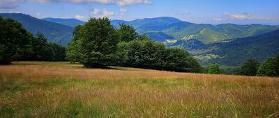 Praszywka Wielka ↔ Przełęcz Przysłóp Potócki