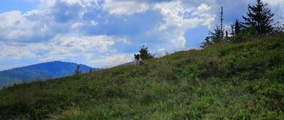 Pod Bendoszką Wielką ↔ Bendoszka Wielka