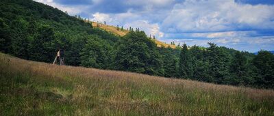 Przełęcz pod Orłem