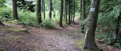 Ostry Kamień (Pasia) ↔ Pod Ptasznikiem