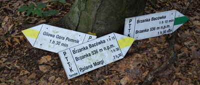 Ostry Kamień (Pasia)