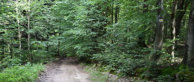 Wielka Góra ↔ Ostry Kamień (Pasia)