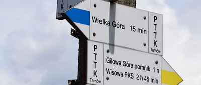 Podlesie