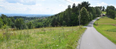 Podlesie