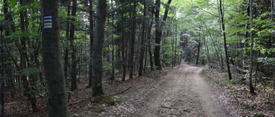 Brzanka ↔ Pod Brzanką