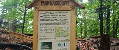 Przełęcz Sosnów