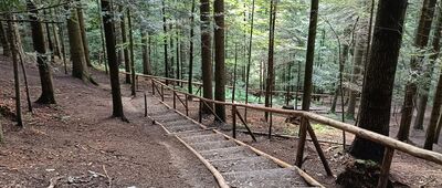 Przełęcz Szopka ↔ Szopczański Potok