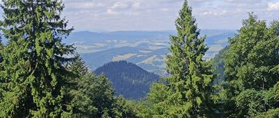 Przełęcz Szopka ↔ Trzy Korony, kasa