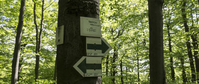 Berdo [Tabliczki na szlaku]