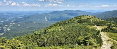 Mała Babia Góra [Pod szczytem Małej Babiej Góry. Widok na Mosorny Groń]