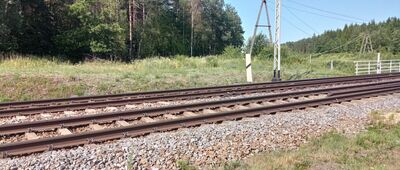 Rudno, krzyż w lesie ↔ Pławniowice, zespół pałacowo-parkowy [Dzikie przejście przez tory, tak prowadzi szlak.]