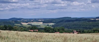 Wleń, ruiny zamku Piastowskiego ↔ Wietrznik [Na zachód od drogi]