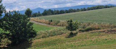 Pokrzywnik, rozejście szlaków [Widok z nad Pokrzywnika]