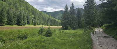 Potok Bystra ↔ Przełęcz między Kopami (Karczmisko) [Żółty szlak w Dolinie Jaworzynka]