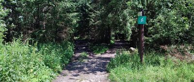 Murzasichle, granica TPN